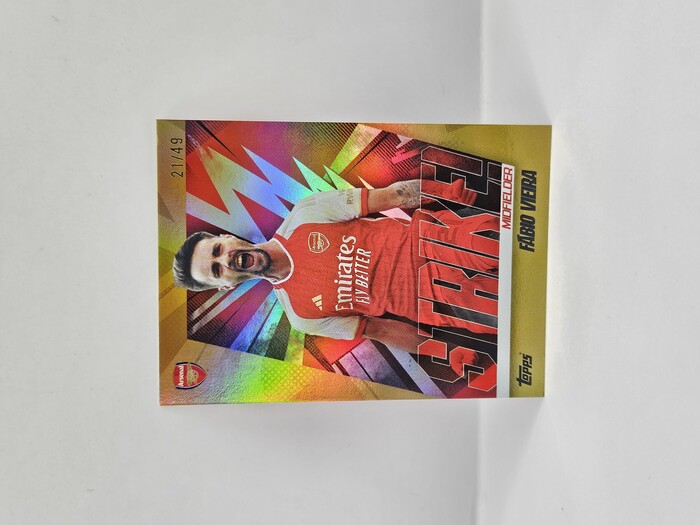 2024 Topps Arsenal Fabio Viera ''Striker'' /49 No.38