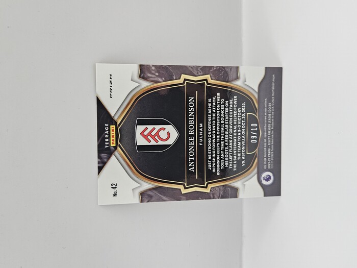 2022-23 Panini Select Premier League Soccer Antonee Robinson Gold /10 No.42
