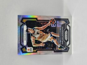 2023-24 Panini euroleague prizm Darjus Lavrinovic silver No.58